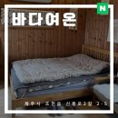 함덕달자게스트하우스그리고펜션 | 제주 한달살기 숙소 추천 바다여온 함덕 오션뷰 제주 게스트하우스 추천