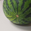 금호농산 이미지