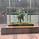 호랑이초밥가산디지털단지점 | [서울 가산] 가산디지털단지역 근처 호랑이 초밥 내돈내산 솔직후기