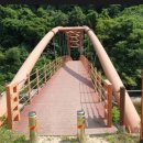 8월18일 홍천 용소계곡 정기 산행 이미지