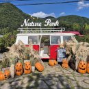 삼양사금강유치원 이미지