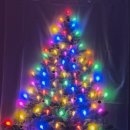 정대솔일식당 이미지