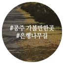 공주교도소부속의원 이미지