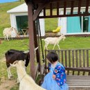 유다목장 이미지