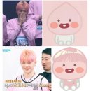 나는 댕댕 이미지