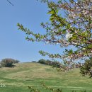 한우목장 이미지