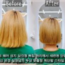은경미용실 | 일산 미용실 웨스턴돔 여자 머리 잘하는곳 은경실장님께 받은 똑단발 스타일