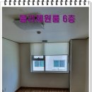 블리체 이미지