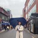 종로-신교-종로-신-209 | 작심하고 먹는 서울여행(W/뽀삐)