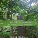 금정-8 이미지
