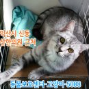 배산한의원 이미지