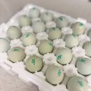 우프동물농장 | 통일청란 청계란 효능 정리｜매일 먹기 좋은 프리미엄 계란 후기