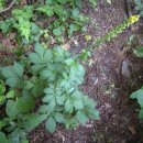 선학초등학교 이미지