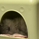 구미옥계고방한의원 | 젊음이 부러워!!! 검은 머리 (1월 일기)