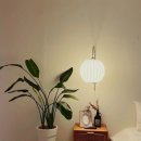 사라보카 48 이미지