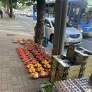 프라임마트야채