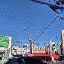 금관대로 애견센터 | [김해 장유] 온네일 애견동반 가능! 내돈내산 솔직후기