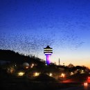 군산수족관 이미지