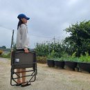 323002 | ●카키색 캠핑의자 추천!!●지오프리 폴딩 플랫 체어 GF323002 캠핑 접이식 로우 경량 의자