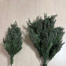 아델비어 | 베베데코 아델파인 150cm 크리스마스 트리 내돈내산 후기