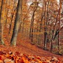 스마일행정사사무소 이미지