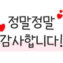 비타스프링