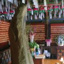 용화사 미륵불 이미지