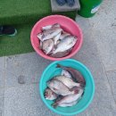 솔고지 | 여수 백야도 솔고지펜션, 나만알고싶은 햇살 가득 독채 숙소 가족, 커플 여행에 추천 반려견 동반 가능