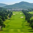 OK 골프클럽 이미지
