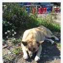 주암산장 이미지