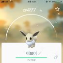 냥이네네일#
