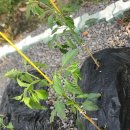 청수1789 이미지