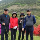 문경GC Daum카페