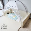 꿈비교육 이미지
