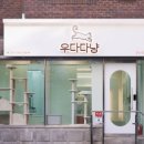 고양이미용 우다다냥 이미지