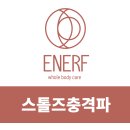 에너프(ENERF) 이미지
