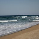 망상오토캠핑리조트 이미지