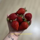 오점열농장 | 2021 오쥬부의 일기 06