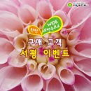 자연속으로 이미지