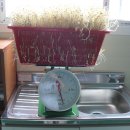 고양시도시생태농업연구회 이미지