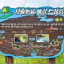 제486회 정기산행 [2026. 7. 18. ] 거창 서출동류 물길 트레킹 이미지