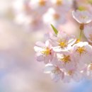 내리그집가자 이미지