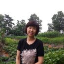기순농장 이미지