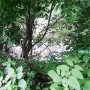 개울건너 펜션 이미지