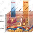 다산샤인빔의원 이미지