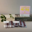 유이데이지 | 아인스케어 엠지오메가3 흡수율까지 다른 마그오메가3 후기