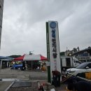 삼척새벽번개시장 강풍경보에 수산시장구경 오징어시세 문어 구매