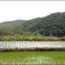 원암경로당 이미지