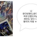 한잎클로버 이미지