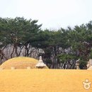 정릉9 이미지
